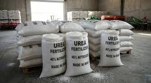 Prilled Urea 46% (Coated) - Image 2